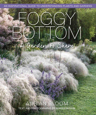 Cover image for 9781919604213 - Foggy Bottom
