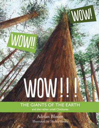 Cover image for 9781919604220 - Wow