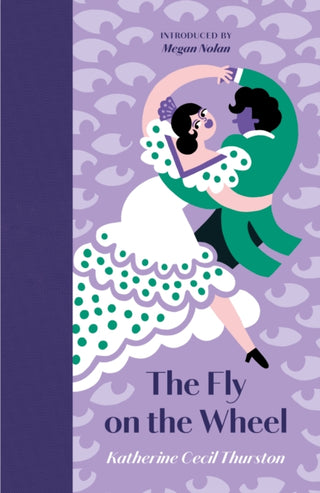 Cover image for 9781919642130 - The Fly on the Wheel