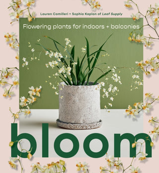Cover image for 9781922417855 - Bloom