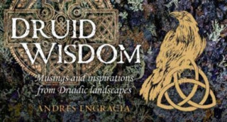 Cover image for 9781922579454 - Druid Wisdom