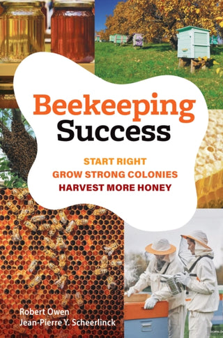 Cover image for 9781923011281 - Beekeeping Success
