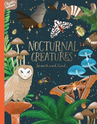 Cover image for 9781923286665 - Nocturnal Creatures Search and Find