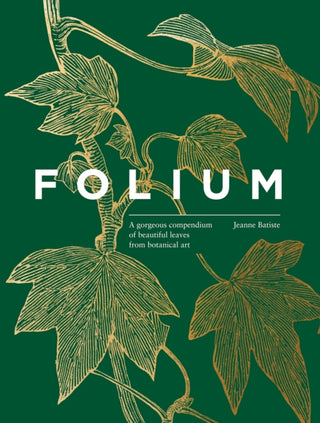 Cover image for 9781923503168 - Folium