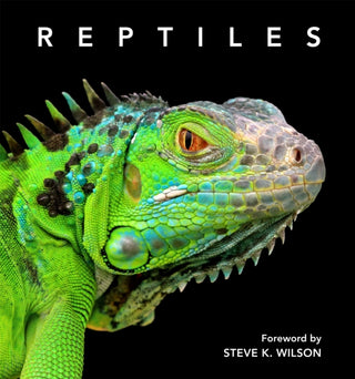Cover image for 9781925546675 - Reptiles