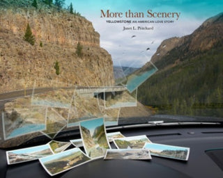 Cover image for 9781938086953 - More than Scenery