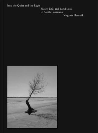 Cover image for 9781941332825 - Into the Quiet and the Light