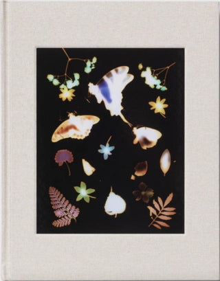 Cover image for 9781942953807 - The Marble