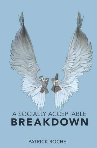 Cover image for 9781943735983 - Socially Acceptable Breakdown