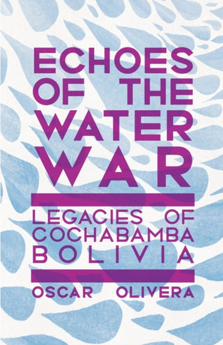 Supplemental image for 9781945335297 - Echoes of Cochabamba