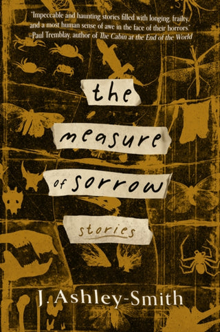 Cover image for 9781946154774 - The Measure of Sorrow