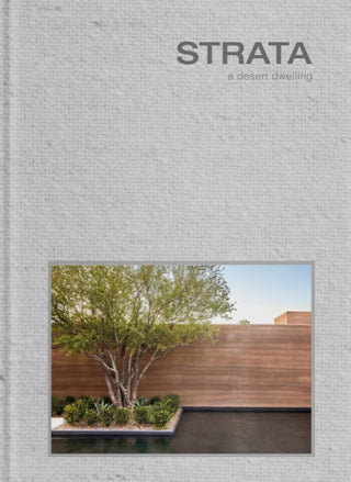 Cover image for 9781946226693 - Strata