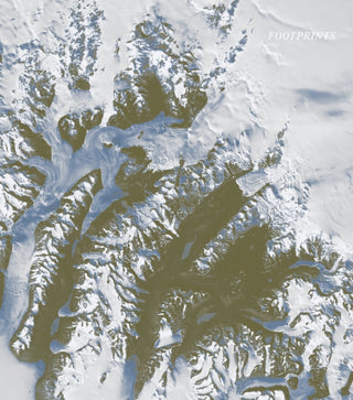 Cover image for 9781946433954 - footprints