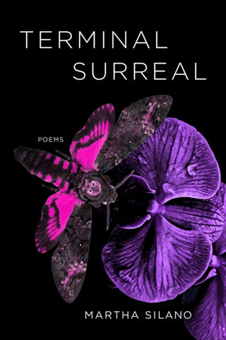 Cover image for 9781946724946 - Terminal Surreal – Poems