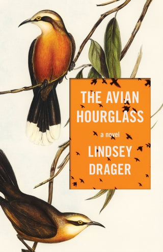 Cover image for 9781950539970 - The Avian Hourglass