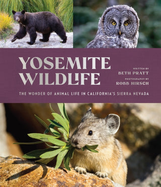 Cover image for 9781951179267 - Yosemite Wildlife