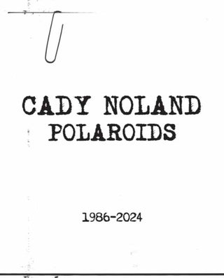 Cover image for 9781951449957 - Cady Noland
