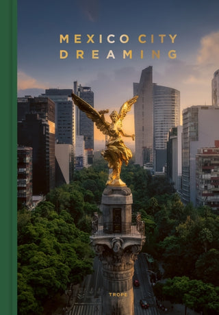 Cover image for 9781951963606 - Mexico City Dreaming