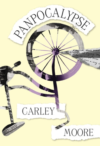 Cover image for 9781952177606 - Panpocalypse