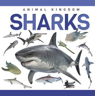 Cover image for 9781952455889 - Sharks