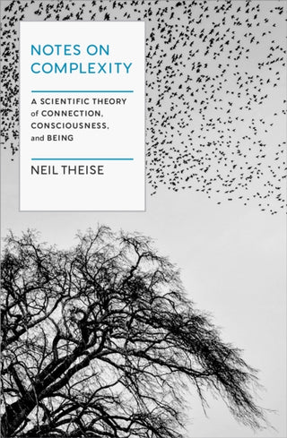 Cover image for 9781954118256 - Notes on Complexity