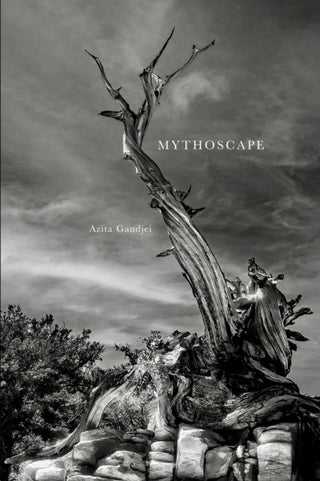 Cover image for 9781954119376 - Mythoscape
