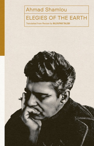 Cover image for 9781954218390 - Elegies of the Earth