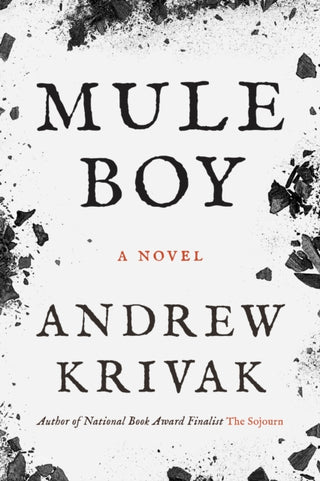 Cover image for 9781954276468 - Mule Boy