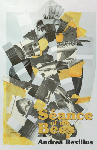 Cover image for 9781960988898 - Seance of the Bees