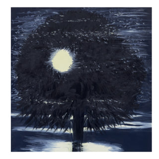 Cover image for 9781961883161 - Ann Craven: Night