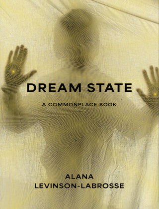 Cover image for 9781961884267 - Dream State