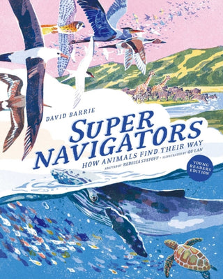 Cover image for 9781962098137 - Supernavigators