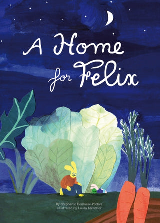 Cover image for 9781962098144 - A Home for Felix
