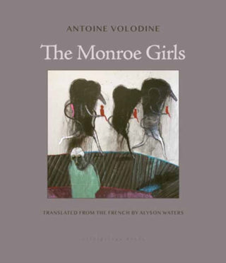 Cover image for 9781962770552 - The Monroe Girls