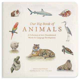 Cover image for 9781963183566 - Our Big Book of Animals