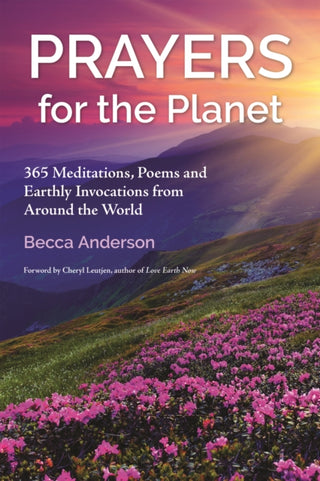 Cover image for 9781963667394 - Prayers for the Planet