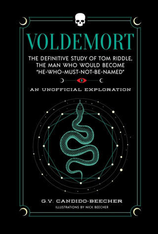 Cover image for 9781964487205 - Voldemort