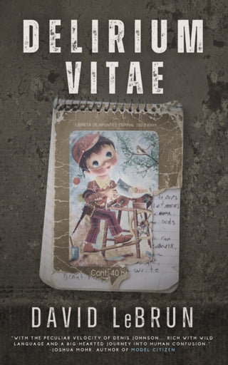 Cover image for 9781965199022 - Delirium Vitae