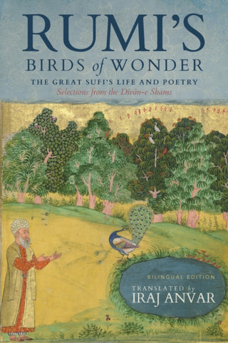 Cover image for 9781966608332 - Rumi’s Birds of Wonder