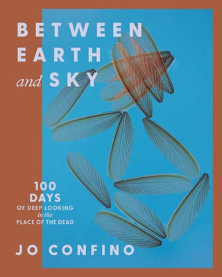 Cover image for 9781967175024 - Between Earth and Sky