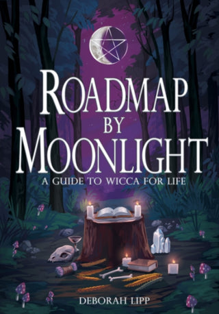 Cover image for 9781968185121 - Roadmap by Moonlight