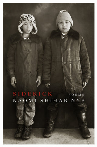 Cover image for 9781968507091 - Sidekick