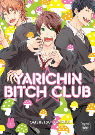 Cover image for 9781974709281 - Yarichin Bitch Club, Vol. 1