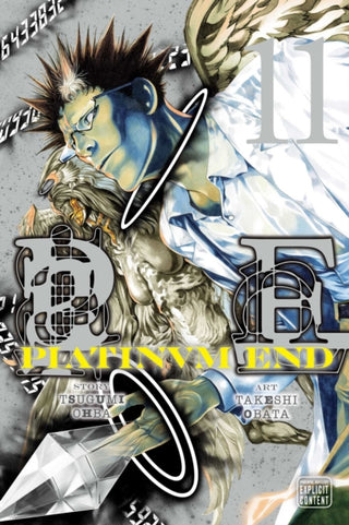 Cover image for 9781974712564 - Platinum End, Vol. 11