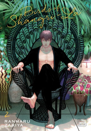 Cover image for 9781974723683 - Birds of Shangri-La, Vol. 2