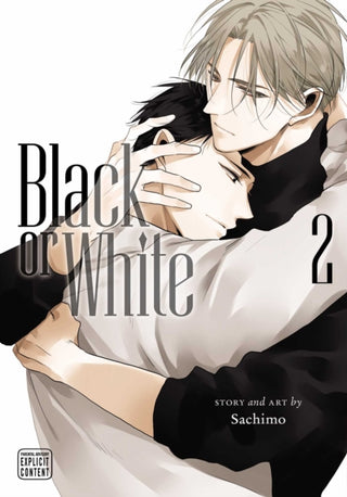 Cover image for 9781974725304 - Black or White, Vol. 2