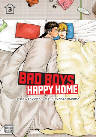 Cover image for 9781974725892 - Bad Boys, Happy Home, Vol. 3