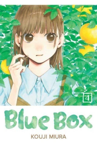 Cover image for 9781974736416 - Blue Box, Vol. 4