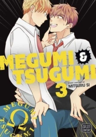 Cover image for 9781974738892 - Megumi & Tsugumi, Vol. 3