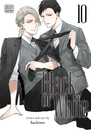 Cover image for 9781974752386 - Black or White, Vol. 10